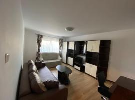 Apartament spațios situat central，位于康斯坦察的酒店