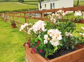 Rose Corner