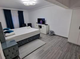 Apartament AlyNuț，位于伯伊莱海尔库拉内的酒店