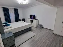 Apartament AlyNuț