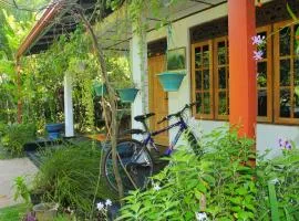 Nature Night Homestay