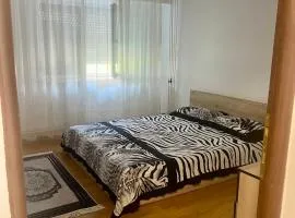 Apartament Central