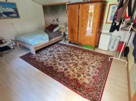 Chalet chez l'habitant，位于巴邦塔纳的酒店