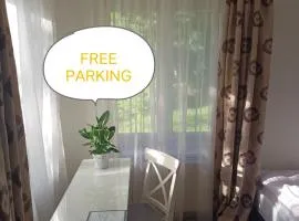 Lovely room and free parking