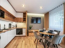 Apartament Labradoryt, klimatyzacja, parking priv