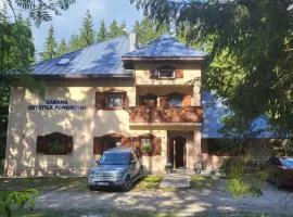 Cabana Cetatile Ponorului - Padis Premium Lodge