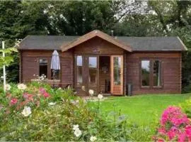The 'SHED' Log Cabin, Bishop Sutton