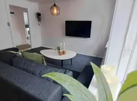 Beautiful 1 Bedroom Apartment In Hjrring City