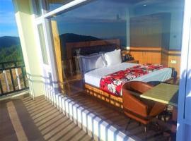 valley view rooms，位于西姆拉的酒店