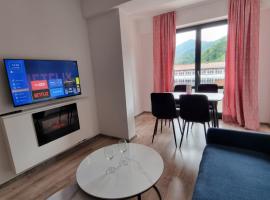 Apartman Rita，位于福伊尼察的酒店