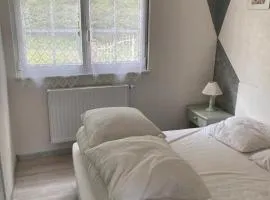 Maison confortable à Muhlbach-sur-Bruche, terrain de 6000 m².