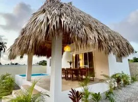 Dreams House Playita