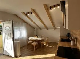 Apartment Korenat