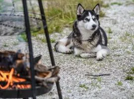 Söhredomizil Kaufunger Wald - Terrasse - Grill - WLAN - Hund - Spielplatz