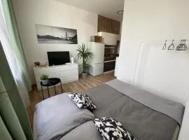 ROVAO Apartment, 1-2 guests, Free Parking & Wifi, 30min from Downtown