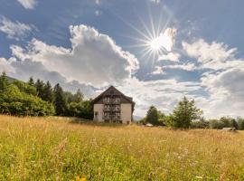 Apartma Ravne in Bohinj - Scenic Apartment with View，位于班斯卡比斯特里察的酒店