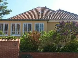Skagen Villa Located In The Center
