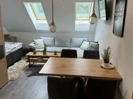 Apartmány Rak Jestřábí