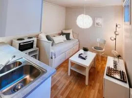 Bright and cozy studio - newly renovated bathroom and free parking