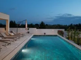 Luxury Villa Petra Vrsi with pool sea view