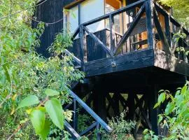 Lodge Punahue