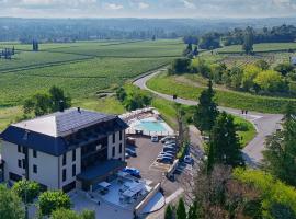 Ile Hotel，位于佩斯基耶拉德加达的酒店