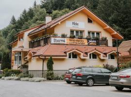 Pri Piecke penzión a reštaurácia，位于斯泰尔霍伊的酒店