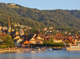 Cozy 1 room apartment in Zug，位于楚格的酒店