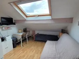 Studio au pied des pistes à St Léger les Mélèzes - 2/3 personnes - FR-1-393-173