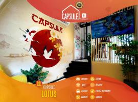 Capsule Lotus-Balneo-Sauna-Billard-Nintendo，位于Hastière-par-delà的酒店