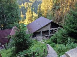 Cabana Zimbru Transfagarasan，位于阿雷富的酒店