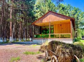Milenium magic villas on Sevan beach