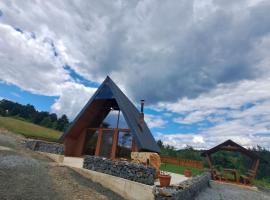 CabanA-lupu，位于Făget的海滩酒店