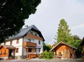 Ferienwohnung " Esserhof " Nationalpark Gesäuse
