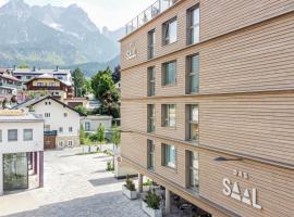 Hotel DAS SAAL，位于萨菲登安斯泰内嫩米尔的酒店