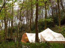 Secret Wood Glamping，位于Holmesfield的豪华帐篷