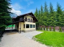 Ollie's Mountain Chalet