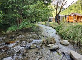 Transfăgărășan River Retreat，位于阿雷富的露营地