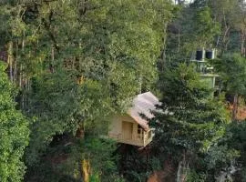 Coffee Green cottage