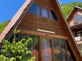 THE WOODEN house
