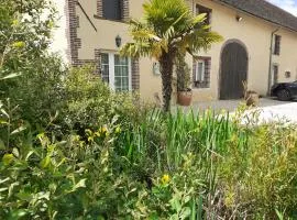 Coin de nature en Puisaye