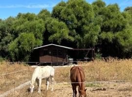 Cabaña rústica en un rancho con caballos, Prado del Rey, Andalucía，位于普拉多德尔雷的露营地