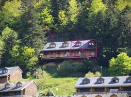 Chalet montagne Pyrénées