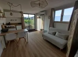 Gîte Gaïa studio avec exterieur