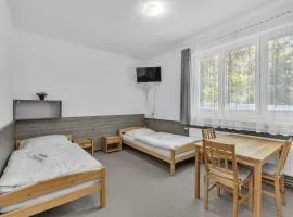 Apartmány a ubytování Přemyslova, Hradec Králové