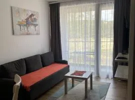 Apartman Borovi 14