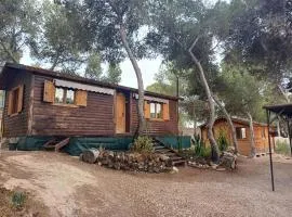 Casita de madera