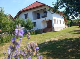 CASA LAVINIA CRASNA GORJ，位于Crasna的乡村别墅