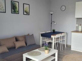 Apartament Wałowa 4，位于威赫罗伏的酒店