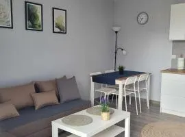 Apartament Wałowa 4